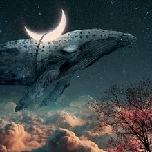 Murmur. Een project van  Concept art, Fotografie y Traditionele illustratie van Natacha Einat - 30.04.2023