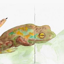 Mon projet du cours : Croquis créatifs à l'aquarelle pour débutants . Ilustrație tradițională, Creativitate, Desen, Pictură în acuarelă, Caiet de schițe și Schițe de Audrey Saulières - 05.01.2023