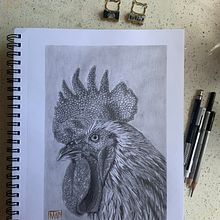 Gallo (grafito ). Un proyecto de Ilustración tradicional, Bellas Artes y Dibujo a lápiz de Marcela Pacheco Weber - 30.04.2023