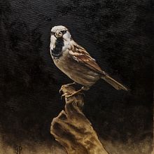Mój projekt z kursu: Klasyczne malarstwo olejne: naturalistyczne portrety ptaków. Un proyecto de Bellas Artes, Pintura, Pintura al óleo e Ilustración naturalista				 de Patryk Grabowski - 01.05.2023