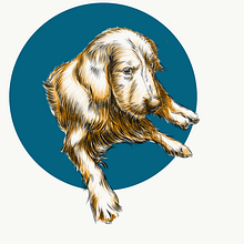 Retrato de Boris Ein Projekt aus dem Bereich Traditionelle Illustration von Noel Gonzalez - 01.05.2023