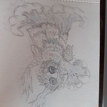 My project for course: Whimsical Sketchbook: Draw Imaginary Creatures from Nature. Pencil Drawing, Drawing, Watercolor Painting, Sketchbook, Naturalistic Illustration, and Traditional illustration project by Lorna Sugden - 04.29.2023