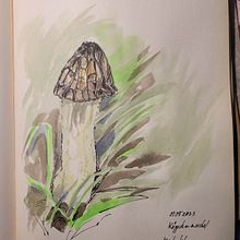 Naturbeobachtungen im Skizzenbuch . Un progetto di Artigianato di Molli Woodtagger - 01.05.2023