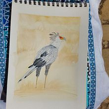 Mi proyecto del curso: Ilustración naturalista de aves con acuarela . Ilustrasi tradisional, Lukisan Cat Air, Gambar Realistis & Ilustrasi Naturalistik proyek oleh Mimi Fdez J - 04.15.2023