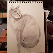 Cat, Charcoal. Traditional illustration, and Fine Arts project by adul - 05.02.2023