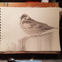 Wintertime. Traditional illustration, and Fine Arts project by adul - 05.02.2023