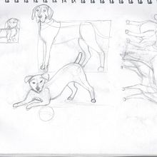 Movimientos de perros y lobos. Ein Projekt aus dem Bereich Traditionelle Illustration und Design von Figuren von Sara Noemí Rojas - 02.05.2023