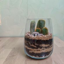 My project for course: Plant Art: Create Your Own Open Terrarium . Un progetto di Interior design, Paesaggismo, Interior Design, DIY e Design floreale e vegetale di Anass Oujri - 03.05.2023