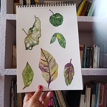My project for course: Botanical Watercolor for Patterns Ein Projekt aus dem Bereich Traditionelle Illustration, Musterdesign, Aquarellmalerei und Botanische Illustration von Patricia Avila - 03.05.2023