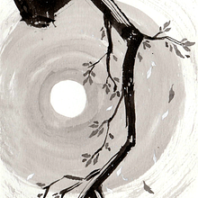 Sol de outono Ein Projekt aus dem Bereich Traditionelle Illustration, Zeichnung und Illustration mit Tinte von Jessica Komori - 04.05.2023
