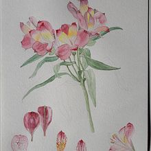 My (unfinished) failure 😆: Botanical Watercolor: Illustrate the Anatomy of Flowers. Un proyecto de Ilustración tradicional, Bellas Artes, Pintura, Dibujo, Pintura a la acuarela e Ilustración botánica de Linda Gärdsmyg - 05.05.2023