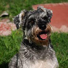 Bruno. Un projet de Photographie de Julio Aquino Seguros - 06.05.2023