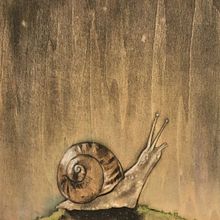 Snail done with watercolor and charcoal on wood. . Een project van Traditionele illustratie van rootsinthefloor - 05.05.2023