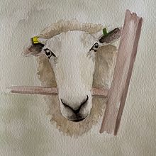 New study for expressive animal portraits  . % jhevans2831 tarafından hazırlanan Sanat ve El Sanatları projesi - 05.08.2023