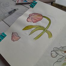 My project for course: Botanical Sketchbooking: A Meditative Approach. Traditional illustration, Sketching, Drawing, Watercolor Painting, Botanical Illustration, and Sketchbook project by Nina Šarišská - 05.08.2023