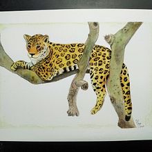 Jaguar - aprendiendo con Balamoc. Ilustração tradicional, Artes plásticas, e Pintura em aquarela projeto de Aura Aura - 29.12.2022