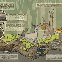 Mi proyecto del curso: Ilustración informativa: despierta la curiosidad. Traditional illustration, Graphic Design, Infographics, Digital Illustration, and Editorial Illustration project by bea_acuna - 02.13.2023