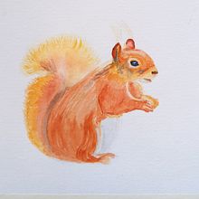 My project for course: Expressive Animal Portraits in Watercolor. Projekt z dziedziny Trad, c, jna ilustracja, Malowanie akwarelą, R, sunek realist, czn, Ilustracja naturalist i czna użytkownika Barbara Johnson - 10.05.2023