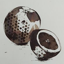 My project for course: Illustrating Nature: A Creative Exploration. Projekt z dziedziny Trad, c, jna ilustracja,  Malarstwo,  R, sunek, Malowanie akwarelą,  R, sunek atramentem, Ilustracja naturalist i czna użytkownika sweldforester - 11.05.2023
