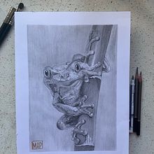 Rana. Lápiz grafito en papel canson. Un proyecto de Dibujo a lápiz, Bellas Artes y Dibujo de Retrato de Marcela Pacheco Weber - 06.05.2023