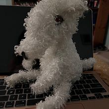 My project for course: Designing and Making Your Own Soft Toy Ein Projekt aus dem Bereich Design von Figuren, H, werk, Spielzeugdesign, Nähen, Nähen und Schnittmuster von chynowethk - 15.05.2023