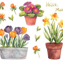 Spring flowers. Un proyecto de Ilustración tradicional y Pintura a la acuarela de Olga Tashlikovich - 15.05.2023