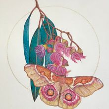 My project for course: Naturalistic Illustration in Watercolor and Gouache. Fine Arts, Painting, Watercolor Painting, Botanical Illustration, Naturalistic Illustration, and Gouache Painting project by Monique Ernst - 05.15.2023
