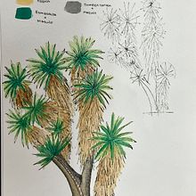 Mi proyecto del curso: Cuaderno botánico en acuarela. Traditional illustration, Watercolor Painting, Botanical Illustration, and Sketchbook project by Emilia Hernandez Ocadiz - 05.15.2023