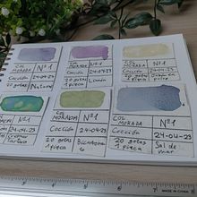 Mi proyecto del curso: Creación de acuarelas líquidas y tintas botánicas. Artesanato, Artes plásticas, Pintura, Pintura em aquarela, DIY, e Teoria da cor projeto de Darío y Carla Álvarez Pardal - 15.05.2023
