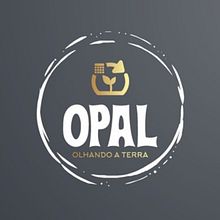 Meu projeto do curso: Estratégias de marca com arquétipos . % Cláudio Varella Bruna tarafından hazırlanan Pazarlama, Hika, e anlatımı, İçerik Pazarlaması, İletişim, Ve Marka Stratejisi projesi - 05.15.2023