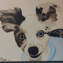  Las curiosas, perrita, Sereno (pintado con tinta china); Mona.. Oil Painting project by Debora Maria Carbajal Dumesnil - 05.13.2023