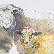 Mein Abschlussprojekt für den Kurs: Ausdrucksstarke Tierporträts in Aquarell. Traditional illustration, Watercolor Painting, Realistic Drawing, and Naturalistic Illustration project by Fran - 05.16.2023