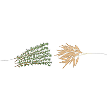 LISSE. Un proyecto de Ilustración tradicional, Diseño, Packaging y Diseño de producto de Andrea Sofía Pais Borges - 19.04.2022