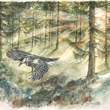 Il mio progetto del corso: Paesaggi incantevoli ad acquerello: dipingi con la luce. Painting, and Watercolor Painting project by Cristina Basaldella - 05.16.2023