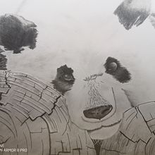 My project for course: Naturalistic Animal Drawing with Graphite Pencil. Traditional illustration, Pencil Drawing, Drawing, and Naturalistic Illustration project by Dave Tynes - 05.16.2023