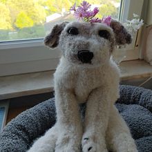 My projectKnitting Realistic Stuffed Animals: Make a Puppy from Yarn. Projekt z dziedziny  Tkactwo, DIY, Dziewiarstwo Ręczne, Wzornictwo tekst i liów użytkownika Lana Silva - 16.05.2023