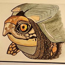 Mi proyecto del curso: Naturaleza ilustrada: una exploración creativa. Traditional illustration, Painting, Drawing, Watercolor Painting, Ink Illustration, and Naturalistic Illustration project by Eva Lartigue - 05.17.2023