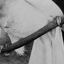 The curse of Apolo's raven - La maldición del cuervo de Apolo. Pencil Drawing, Realistic Drawing, and Drawing project by Paula Jiménez - 05.15.2023