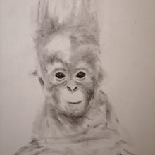 My project for course: Expressive Drawing with Charcoal. Un projet de Beaux Arts, Dessin, Dessin de portrait et Illustration naturaliste de bejuleo1 - 18.05.2023