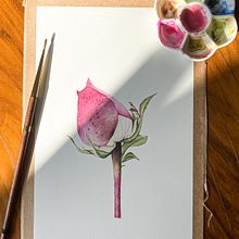 Acuarela. Fine Arts, Painting, and Watercolor Painting project by Lau Roxan - 05.19.2023