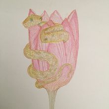 Il mio progetto del corso: Illustrazione surrealista ispirata alla natura. Traditional illustration, Pencil Drawing, Drawing, Artistic Drawing, Naturalistic Illustration, and Colored Pencil Drawing project by da_mela - 05.08.2023