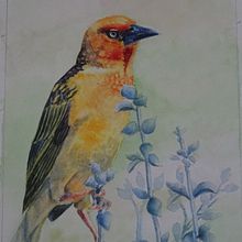 Mon projet du cours : Portraits expressifs d'animaux à l'aquarelle. Un progetto di Illustrazione tradizionale, Pittura ad acquerello, Disegno realistico e Illustrazione naturalistica di Patricia PICCO - 20.05.2023