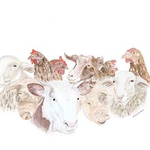 Farm animals shelter illustration. Un progetto di Illustrazione tradizionale di sinjart - 21.05.2023