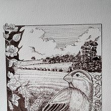 Il mio progetto del corso: Illustrazione con inchiostro e pennino: rappresenta la natura Ein Projekt aus dem Bereich Skizzenentwurf, Artistische Zeichnung, Sketchbook, Illustration mit Tinte und Naturalistische Illustration von Rachele - 21.05.2023