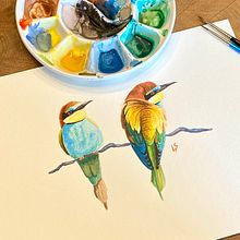 My project for course: Artistic Watercolor Techniques for Illustrating Birds. Traditional illustration, Watercolor Painting, Realistic Drawing, and Naturalistic Illustration project by Lyndsay Stephenson - 05.21.2023