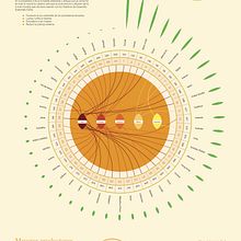 El consumo de té. Design, Editorial Design, Creativit, and Graphic Design project by Angélica Citlalli Reyes Palma - 05.19.2023