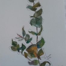 Field of nature. Un progetto di Illustrazione tradizionale di Margaret Fraser - 21.05.2023