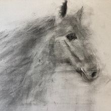 My project for course: Expressive Drawing with Charcoal. Un proyecto de Bellas Artes, Dibujo, Dibujo de Retrato e Ilustración naturalista				 de lauramac_88 - 23.05.2023
