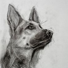 My project for course: Animal Illustration with Charcoal and Ink. Fine Arts, Drawing, Ink Illustration, and Naturalistic Illustration project by Ingrid Fürhacker - 05.23.2023
