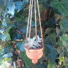 pottery plant holders. Un progetto di Artigianato di Cindy Meyer - 23.05.2023